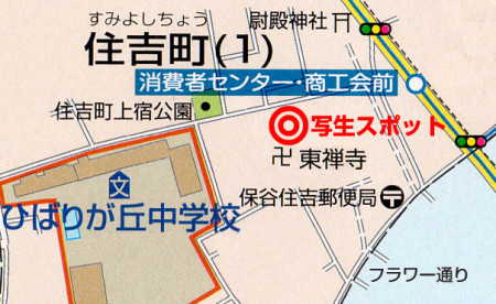 東禅寺ツバキ地図2-960
