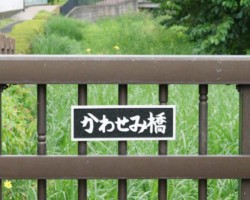 こぶし橋上流<br />
青い鳥、童話にも見られるシンボリックなイメージ 、幻想を抱かせるには充分な存在です。