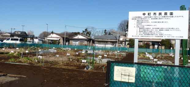 中町市民農園