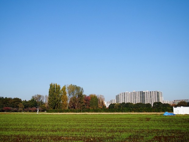 東大農場