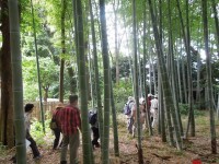 高橋敬一家の竹林