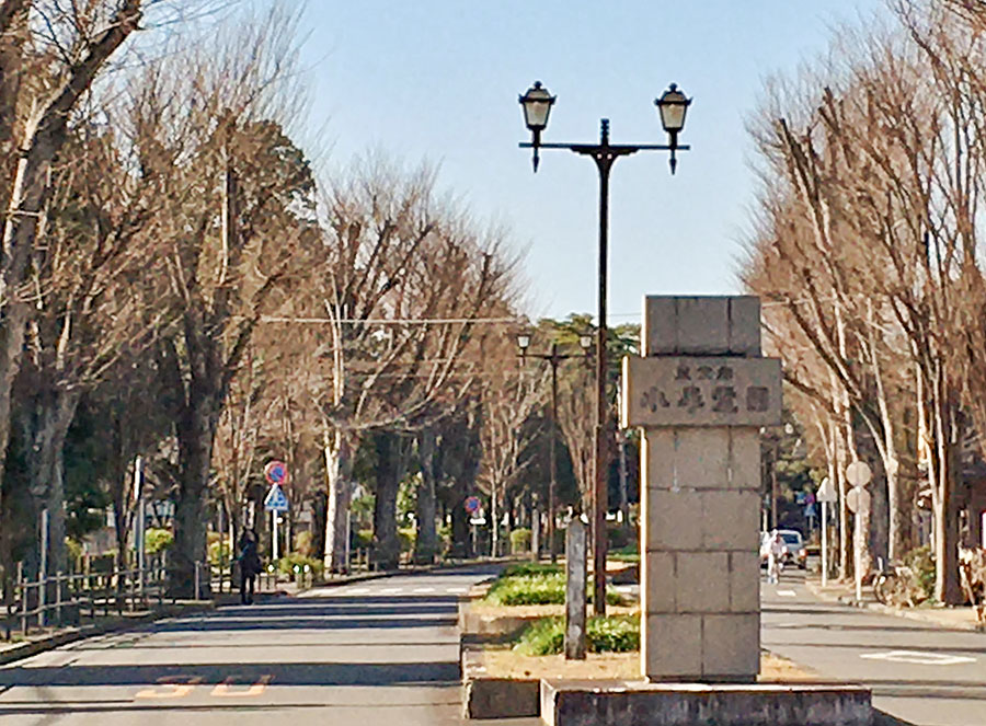00小平霊園表参道900