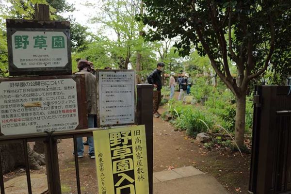 野草園