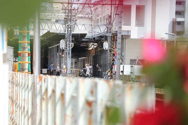 線路沿いのバラ