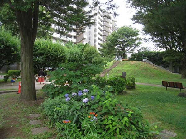 ひばりが丘団地の草花