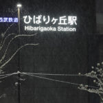 雪のひばりヶ丘駅