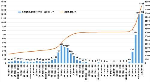週間感染グラフ