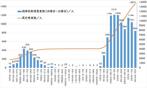 週間感染の推移