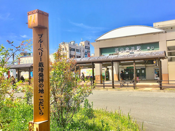 花小金井駅南口ロータリーの標柱