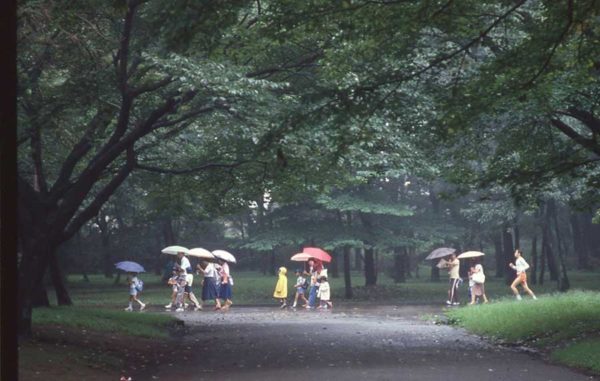 雨の小金井公園